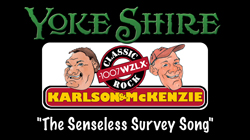 Yoke Shire video - The Senseless Survey Song